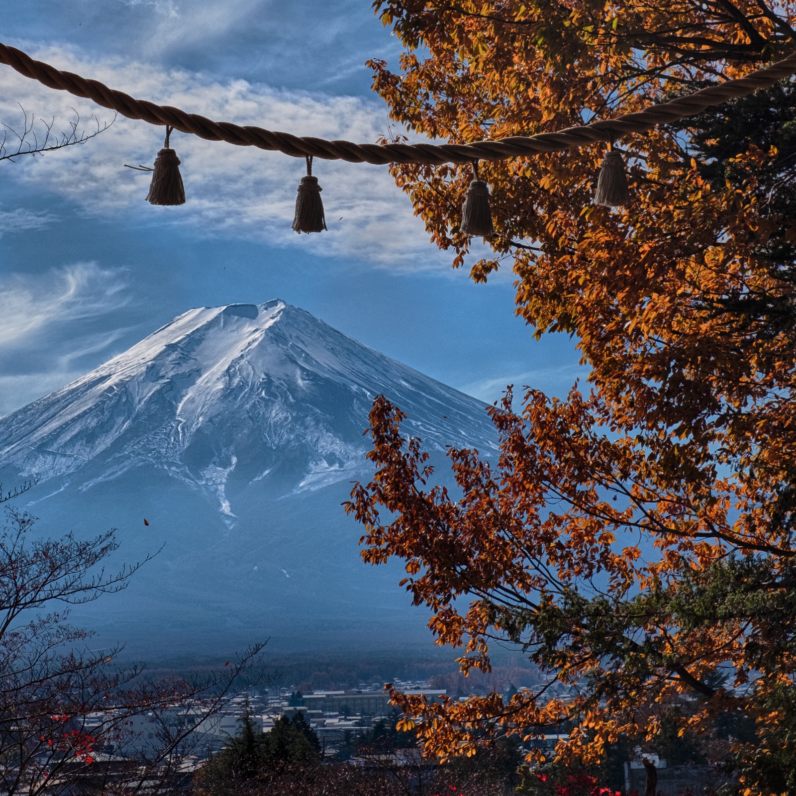 placeholder image sq